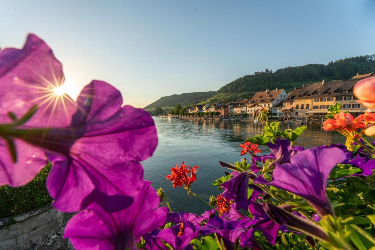 Hotel Rheingerbe Stein Am Rhein Dış mekan fotoğraf
